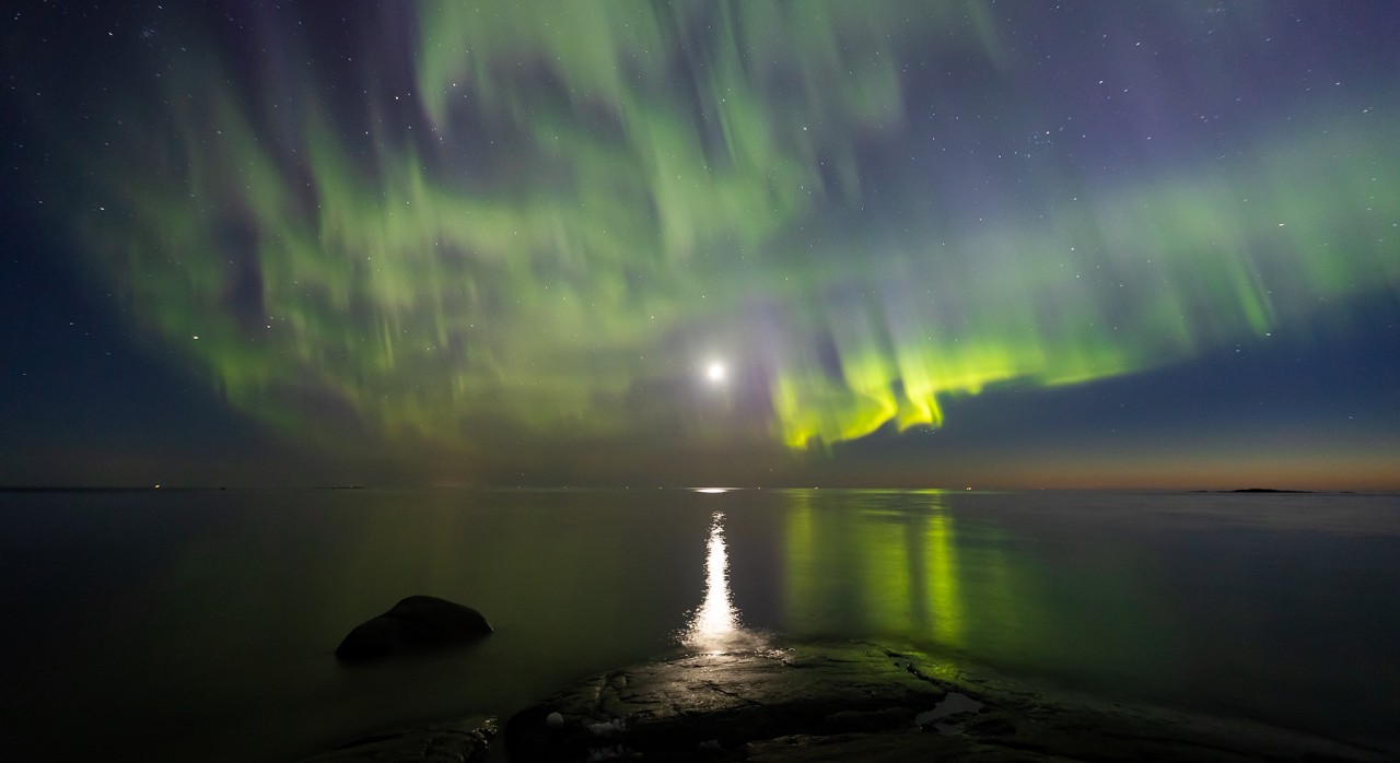 The Thrilling Adventure of the Vietnamese Northern Light Hunter