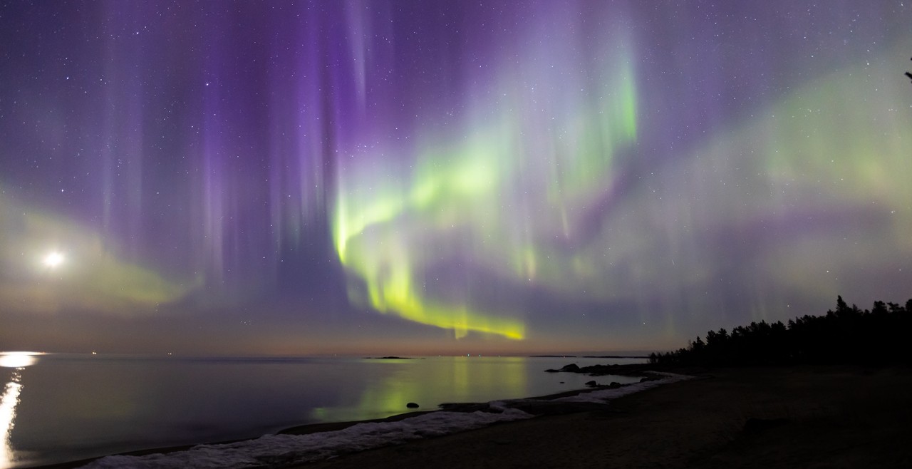The Thrilling Adventure of the Vietnamese Northern Light Hunter