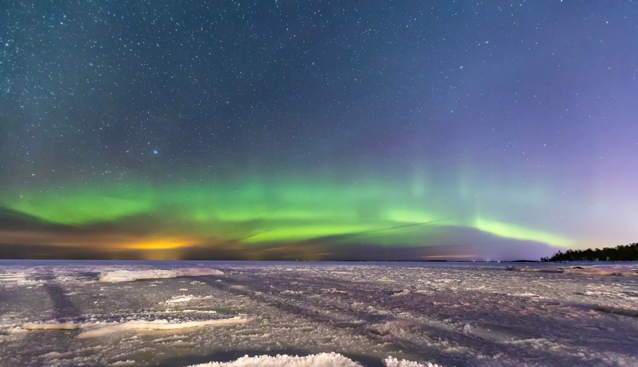 The Thrilling Adventure of the Vietnamese Northern Light Hunter