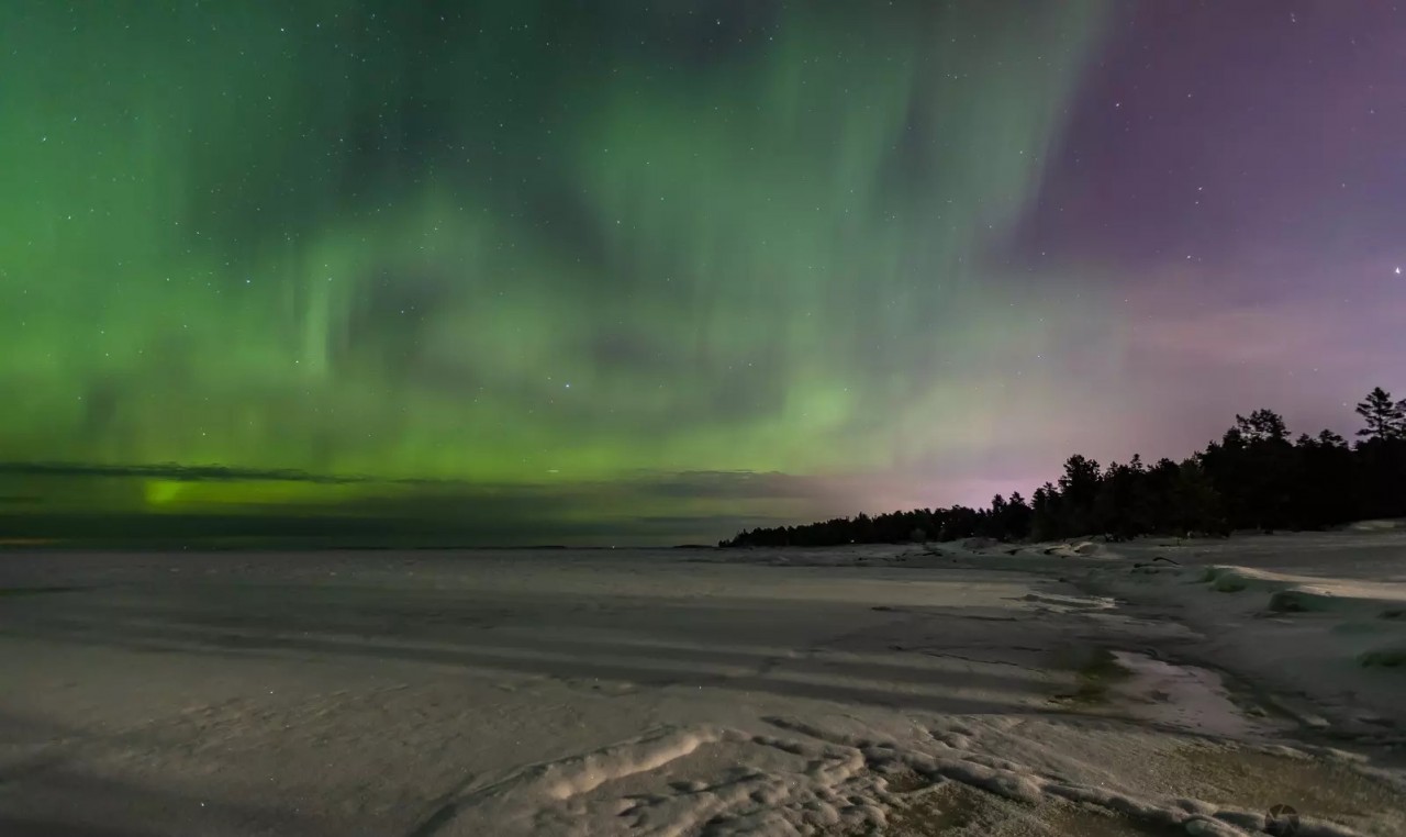 The Thrilling Adventure of the Vietnamese Northern Light Hunter