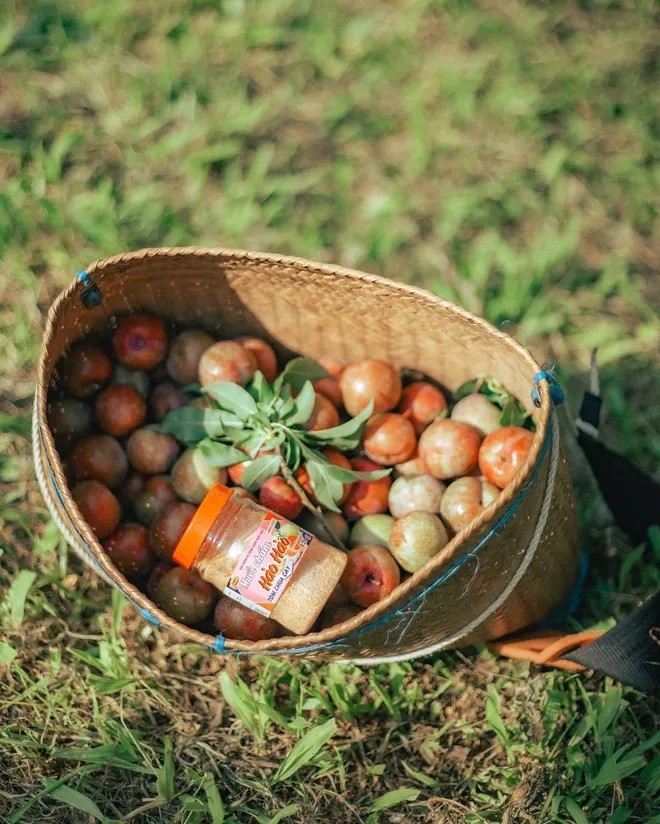 Photo: To Quoc
