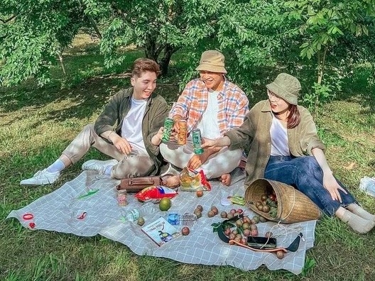 Juicy Plum Season Attracts Young Generation
