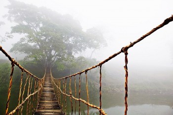 Beautiful Rope Bridges Around Vietnam