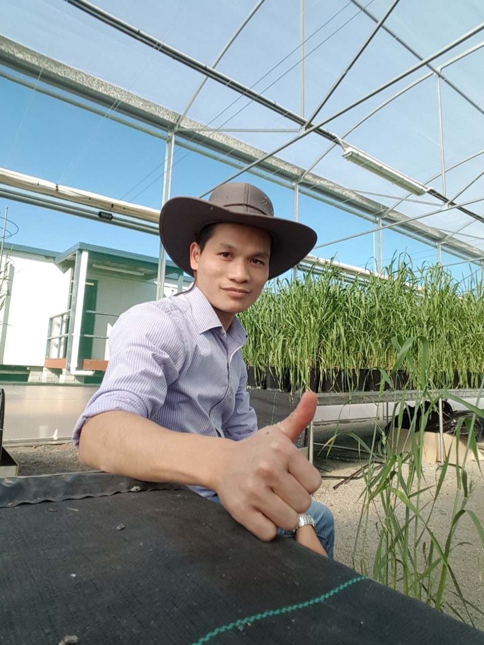 Viet Researcher found a gene that protects 10% of global food