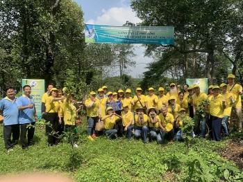Overseas Vietnamese Planted 200 Rosewood Trees to Show Gratitude for Uncle Ho