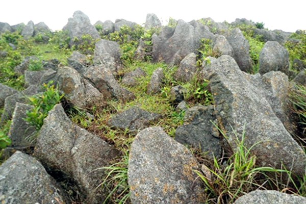 Exploring Cao Ba Lanh and Legend of the Nature's Xylophone