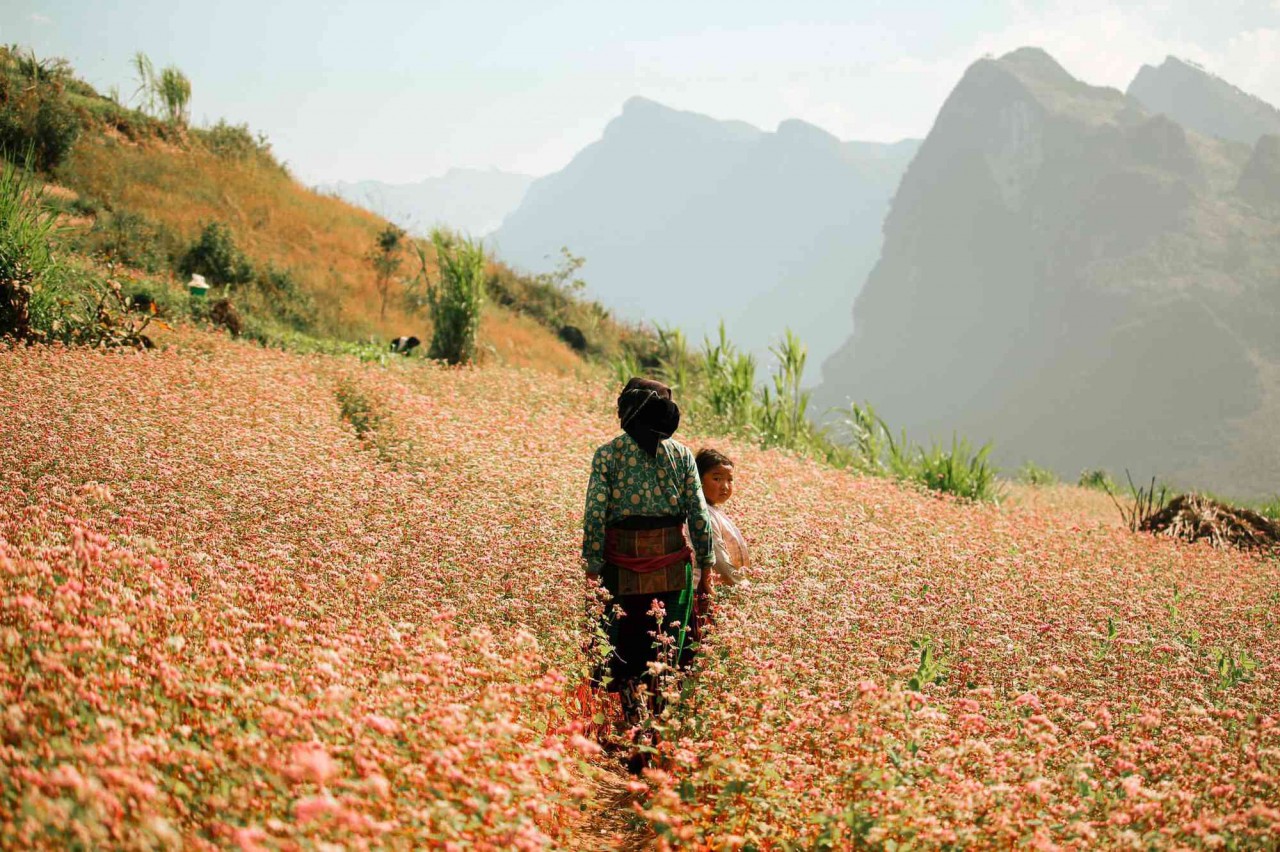 Wondrous Century-old Village to Visit in Ha Giang