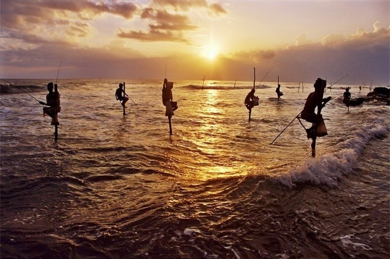 The Last Stilt Fishermen in Sri Lanka