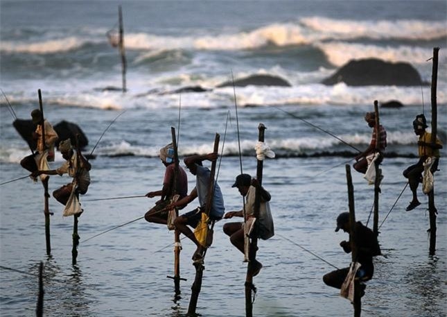 The Last Stilt Fishermen in Sri Lanka