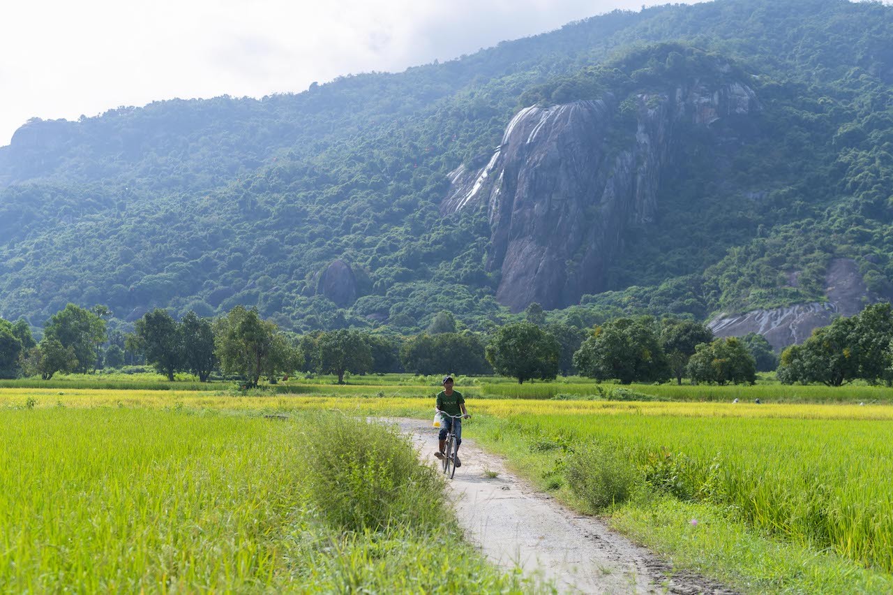 Stunning Photogenic Scene of Tà Pạ Rice Field to See Right Now