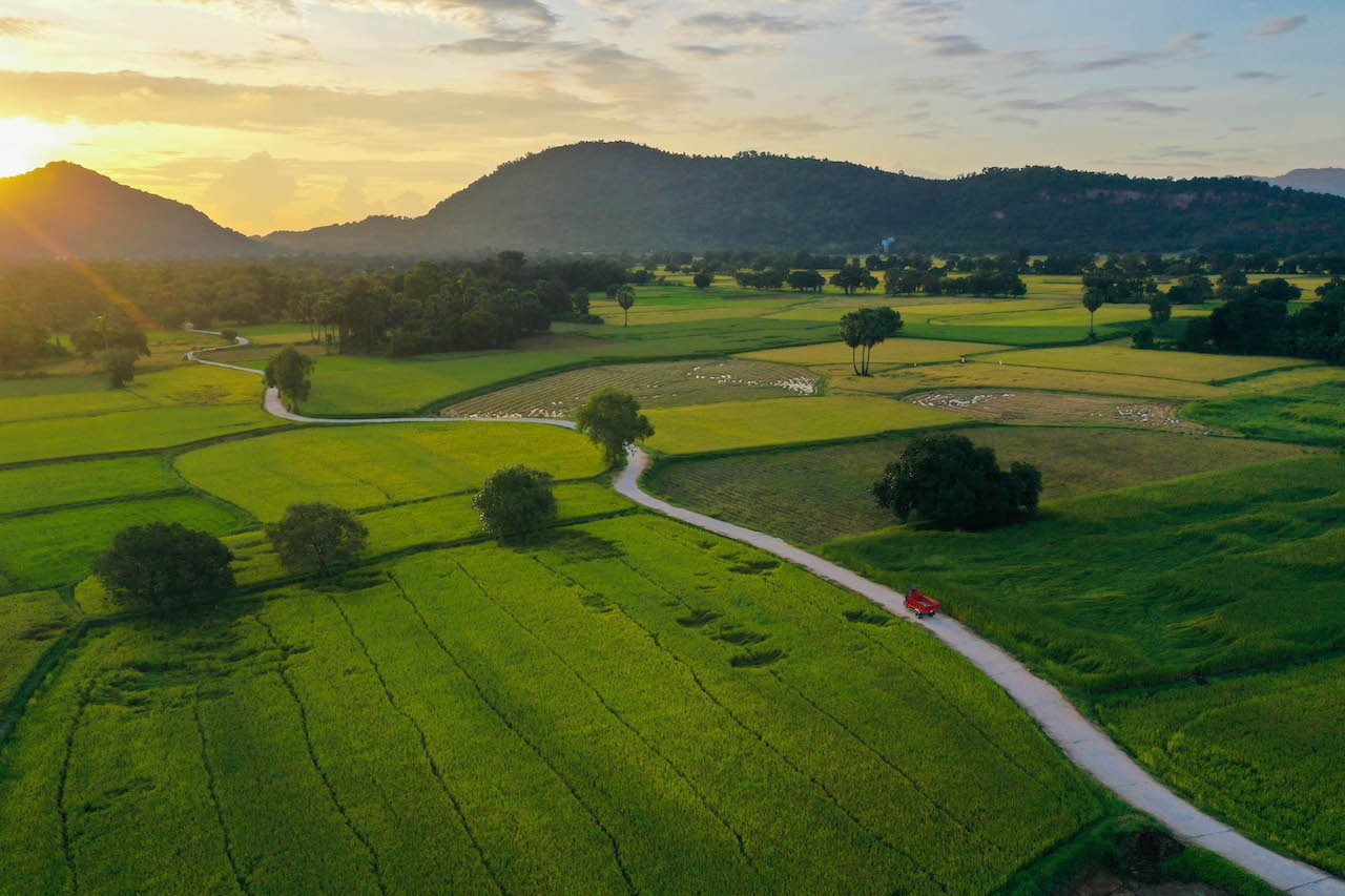 Stunning Photogenic Scene of Tà Pạ Rice Field to See Right Now