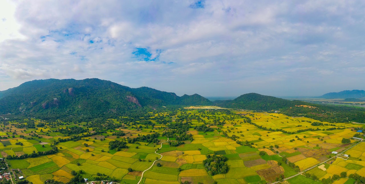 Stunning Photogenic Scene of Tà Pạ Rice Field to See Right Now