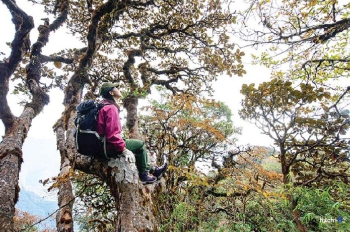 Pu Ta Leng: Adventurous Weekend Hike to the Indochina's Second Highest Mountain