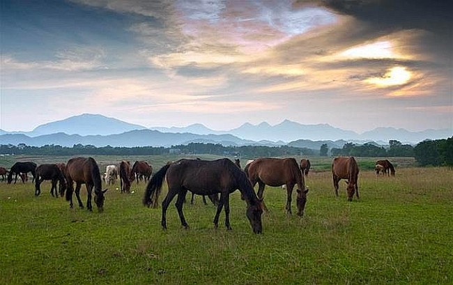 Top 10 Tourist Attractions in Thai Nguyen