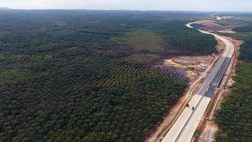 This aerial picture taken on Jul 31, 2019 by news outlet Tribun Kaltim shows a view of the area around Samboja, Kutai Kartanegara, one of two locations proposed by the government for Indonesia's new capital. (Photo: AFP