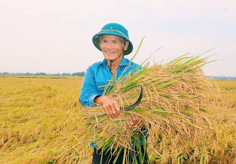 5019-farmer