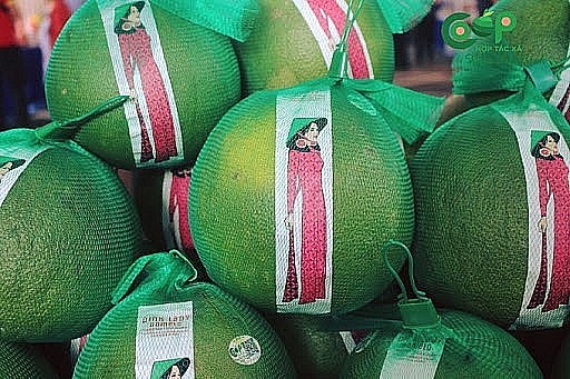 Agricultural Cooperation Expected to Help Raise Vietnam-New Zealand Trade