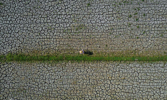 Green Climate Fund offers US$30.2 million to strengthen Vietnam’s climate change resilience