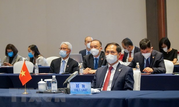 Vietnamese Foreign Minister Bui Thanh Son (Photo: VNA)