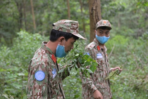 For strange plants, trainees have to smell them to identify whether they are poisonous or not.
