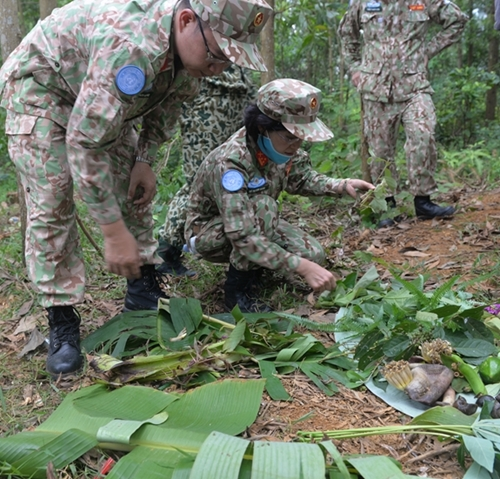 Edible vegetables, tubers and fruits found by trainees