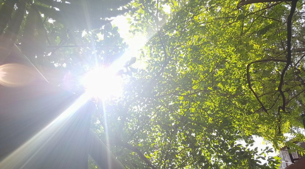 vietnam weather hot weather to hit hanoi in first three days of the week