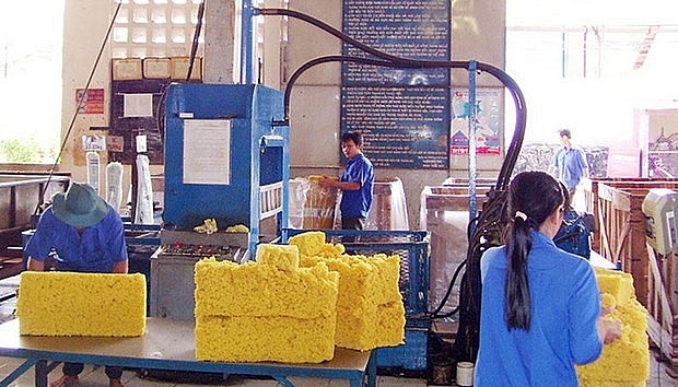 vneconomy.vn)