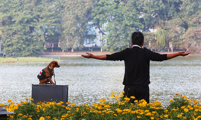 Hanoi considering ban on dog walking in public places