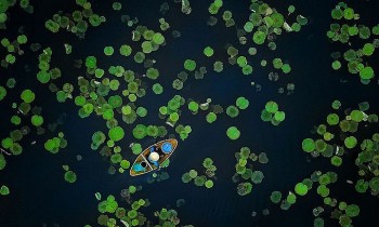 Vietnamese Photo Praised at International Contest