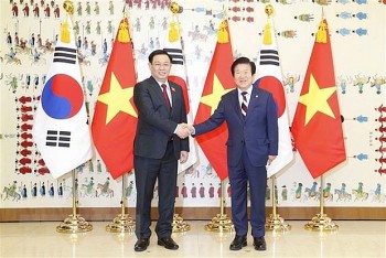 Speaker: Vietnam – A Major Partner in RoK’s New Southern Policy