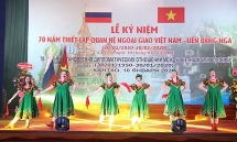 ambassadors wish to promote people to people ties with vietnam in 2020