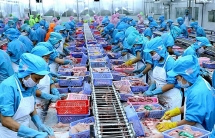 vietnamese national brand has incresed 8 levels