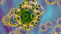vietnams coronavirus song covered by english boy band
