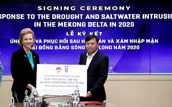 UNDP supports USD185,000 to help the Mekong Delta cope with drought and saline intrusion