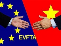 evfta new gateway for market diversification and economic growth