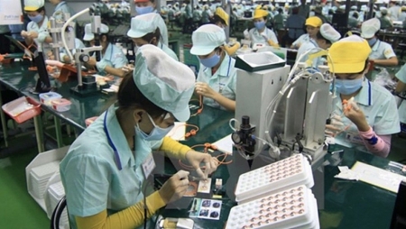 Vietnam export enterprises receive support from Viettrade amid COVID-19