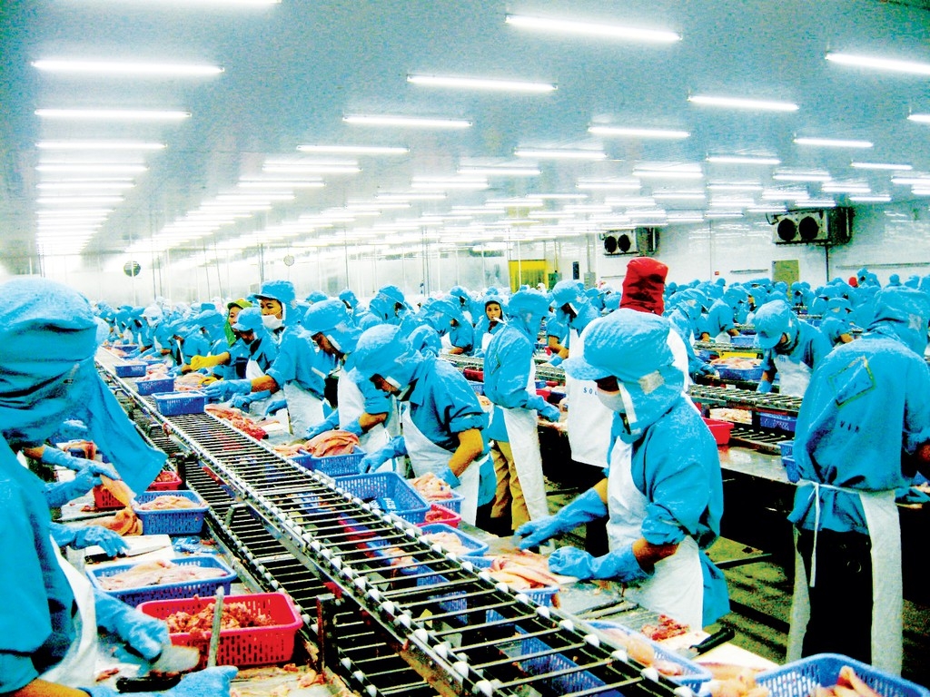 experts many sectors in vietnam economy will recover quickly