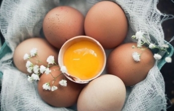 easy egg masks to nurture your skin