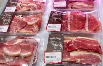 vietnam exports dropped sharply in may