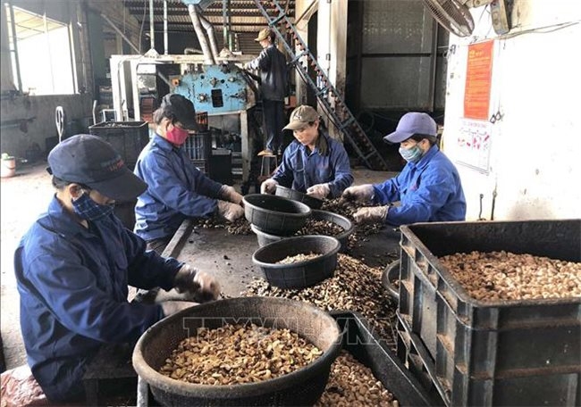 ministry of finance proposes to reduce corporate income tax by 30 for small and micro businesses