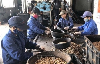 vietnam tax revenue in five months reached us 215 million
