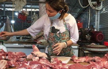 vietnam to import live pigs to cut live hog prices in domestic market