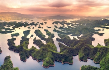 travel bubble the critical factor helps recover tourism industry