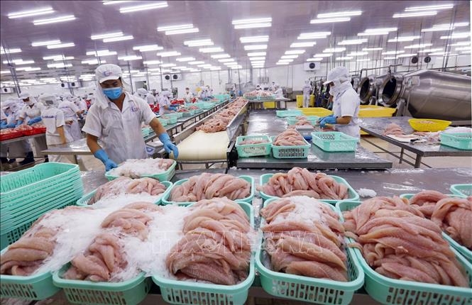 enterprise establishment in vietnam surges 36 in may