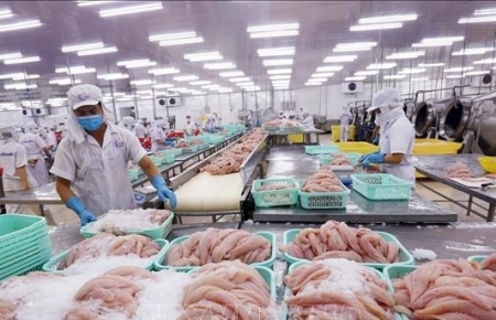Enterprise establishment in Vietnam surges 36% in May