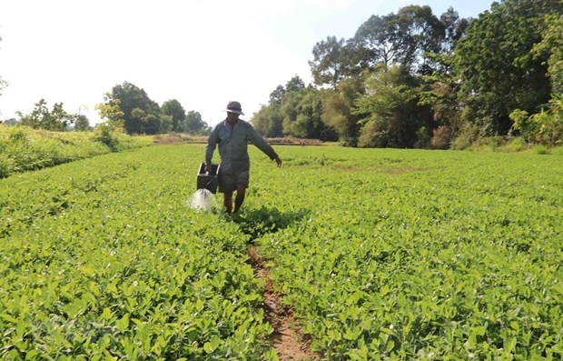 remarkable improvement in hanois rural modernization