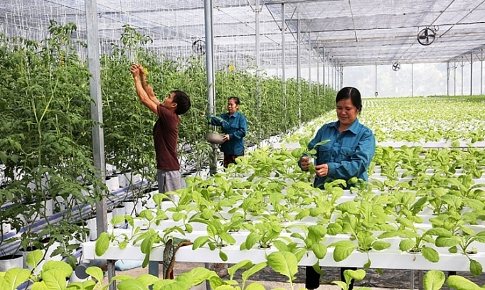 remarkable improvement in hanois rural modernization