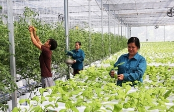 Remarkable improvement in Hanoi's rural modernization