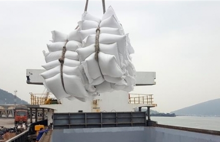 Vietnam's rice export revenue increased 18.9% in the first five months