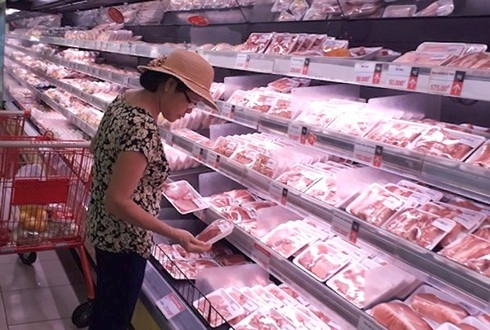 Vietnam to begin importing live pigs from Thailand from June 12